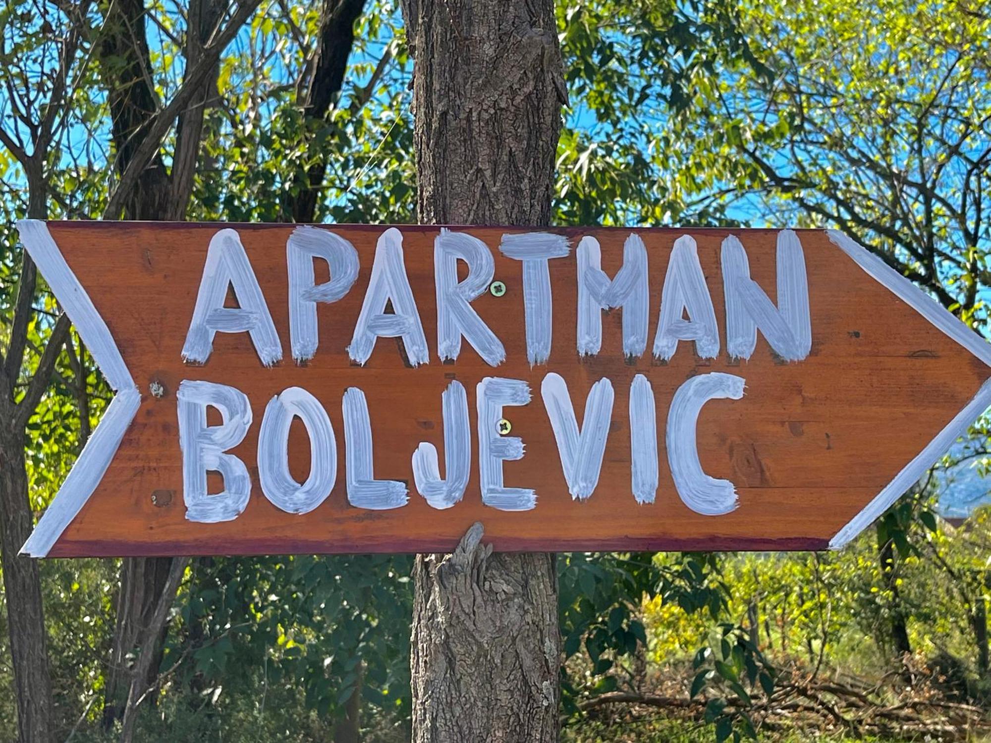 Apartman Boljevic ポドゴリツァ エクステリア 写真